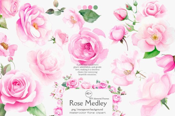 Download Pink Roses Watercolor Flowers Png - Flower Collection