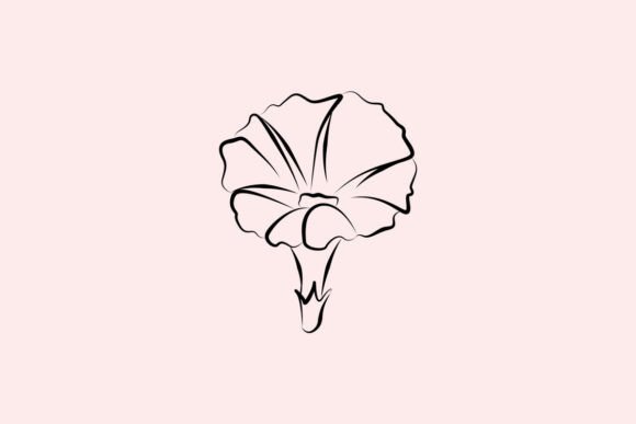 Download Morning Glory Flower with Line Art Style - Flower Collection