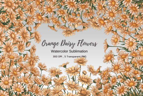 Download Orange Daisy Floral Bouquet Clipart - Daisy Collection
