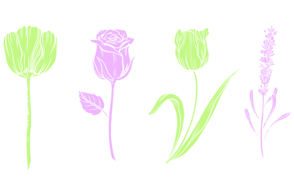 Download Plant Flower Leaf Botanical Design - Flower Collection