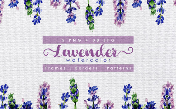 Download Holiday Purple Lavender Flowers Watercolor Set - Lavender flowers watercolor Collection