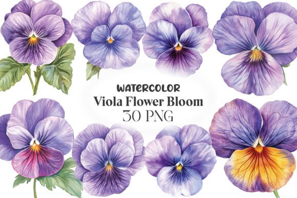 Download Viola Flower Bloom Clipart - Flower Collection