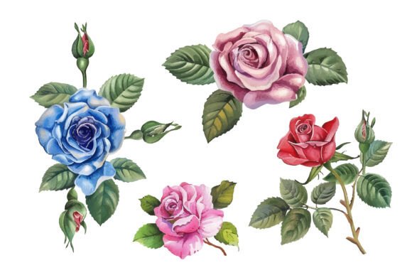 Download Hand Painted Flowers - Flower Collection