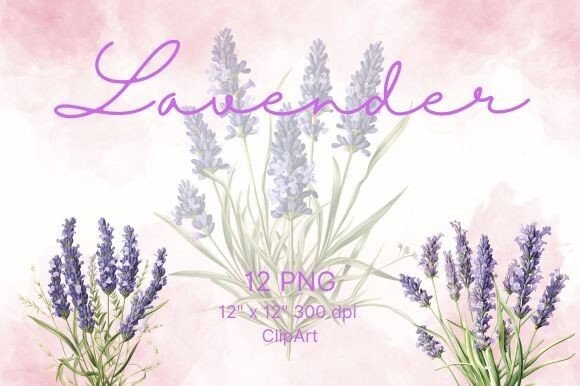 Download Lavender Flower Watercolor - Flower Collection