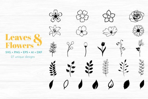 Download Set of Flower Illustrations - Flower Collection