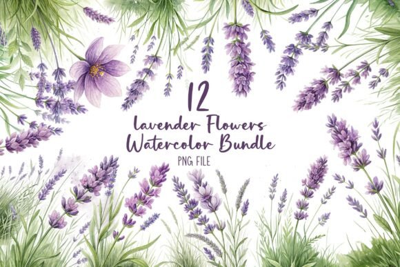 Download Lavender Flowers Watercolor Bundle - Lavender flowers watercolor Collection
