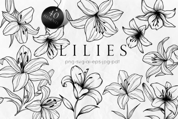 Download Lily Flowers Line Art SVG - Flower Collection