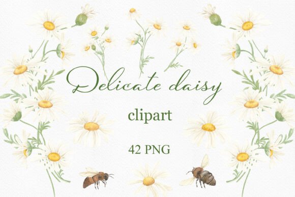 Download Watercolor Summer Daisy Clipart, Wreath. - Daisy Collection