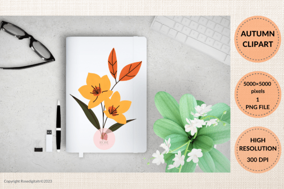Download About Autumn Flower PNG Graphic 8 - Flower Collection