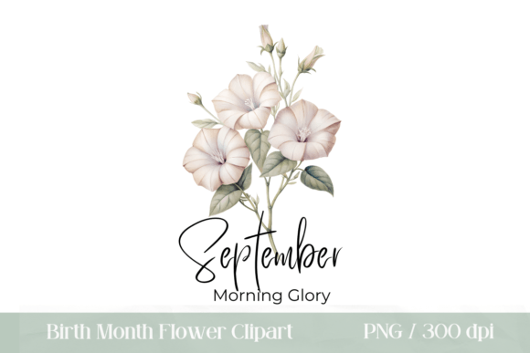 Download September Birth Month Flower PNG - Flower Collection