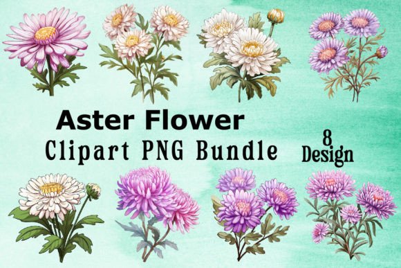 Download Aster Flower Clipart Bundle - Flower Collection