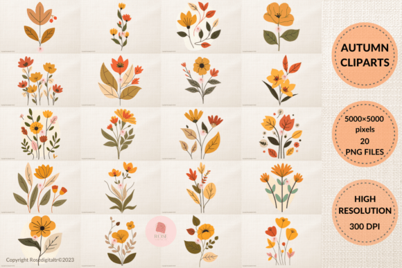 Download Autumn Flower PNG Clipart Graphics Bundle - Flower Collection