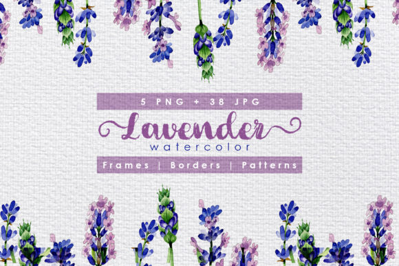 Download Holiday Purple Lavender Flowers Watercolor Set - Lavender flowers watercolor Collection