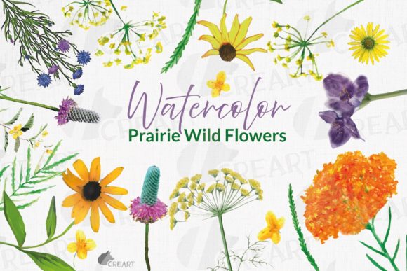 Download Prairie Grasses and Wildflowers Clip Art - Flower Collection