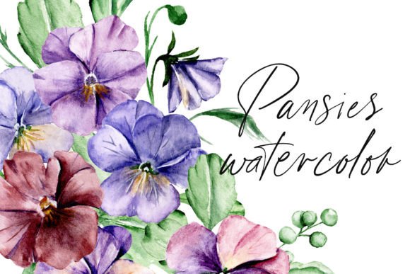 Download Watercolor Flowers Pansies Set. - Flower Collection