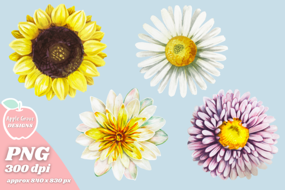 Download Water Lily, Sunflower, Daisy &amp; Aster - Daisy Collection