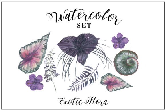 Download Midnight Flowers - Watercolor Floral Set - Flower Collection