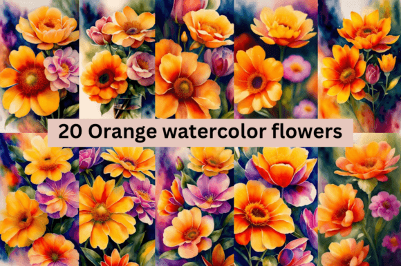 Download #3 Orange Watercolor Flowers Bundle - Flower Collection