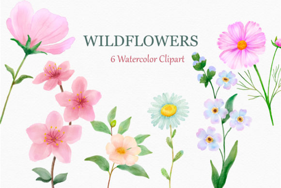 Download Wildflowers Watercolor Clipart Daisy - Daisy Collection