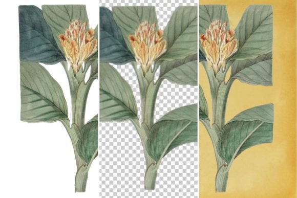 Download Vintage Flower Wall Art Printable - Flower Collection
