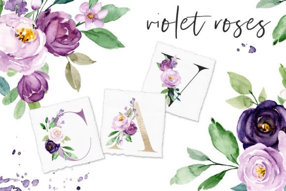 Download Watercolor Violet Flowers Roses - Flower Collection