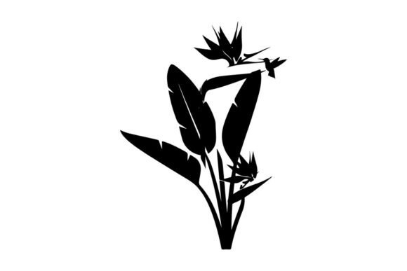 Download Bird of Paradise Flower Silhouette with - Flower Collection