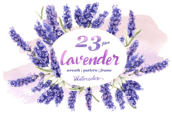 Download Lavender Flowers in Watercolor - Premium Resources