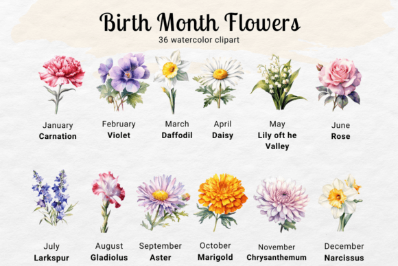 Download Birth Flower Watercolor Clipart - Flower Collection