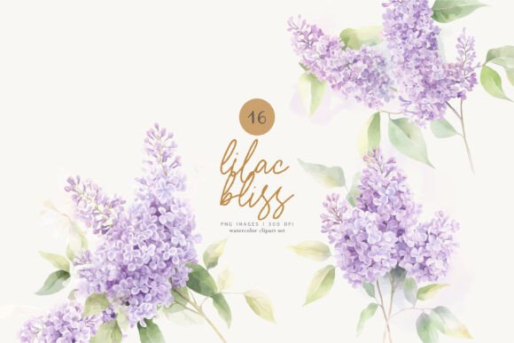 Download Lilac Florals Watercolor Flowers Png - Flower Collection