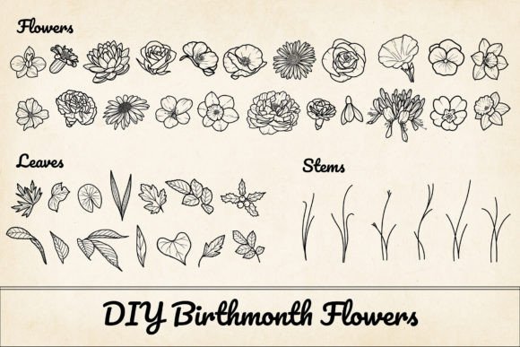 Download 200 Birthflower Element Bundle PNG &amp; SVG - Flower Collection
