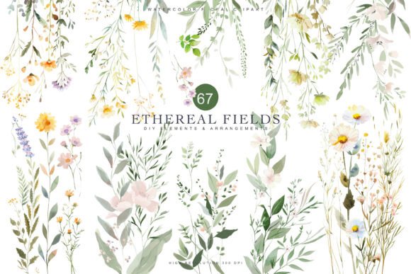 Download Watercolor Delicate Wildflower Clipart - Flower Collection