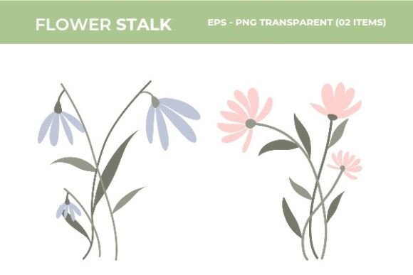 Download Beautiful Flower Illustrations - Flower Collection