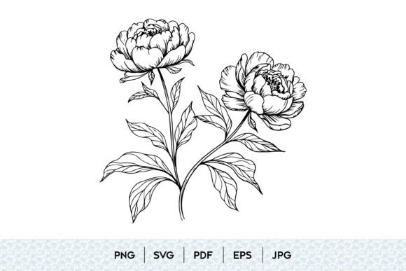 Download Peony Flower SVG Bundle - Flower Collection