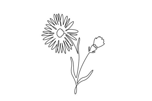 Download Aster Flower One-line Art. - Flower Collection