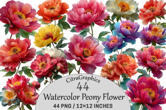 Download Watercolor Peony Flower Clipart. - Flower Collection