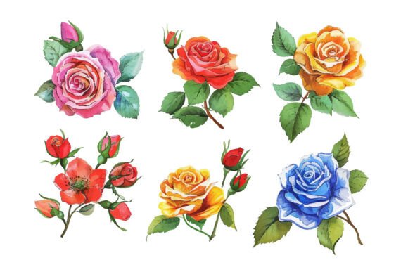 Download Hand Painted Flowers - Flower Collection