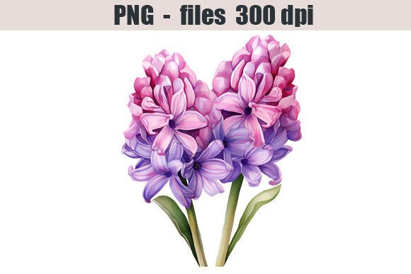 Download Hyacinth Flower Watercolor Clipart - Flower Collection