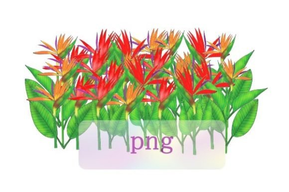 Download Bird of Paradise Flower Png Botanical - Flower Collection
