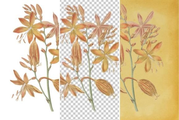 Download Vintage Flower Wall Art Printable - Flower Collection