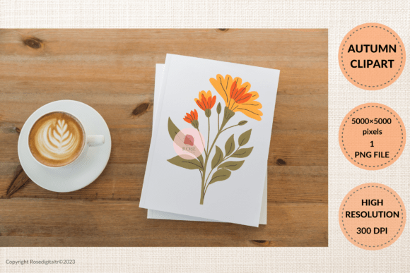 Download About Autumn Flower PNG Graphic 10 - Flower Collection