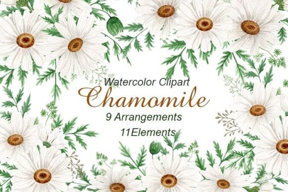 Download Watercolor Daisy Flowers Clipart. Png - Daisy Collection
