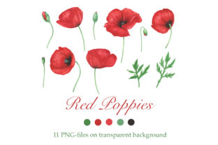 Download Red Poppies Flowers Clipart - Flower Collection