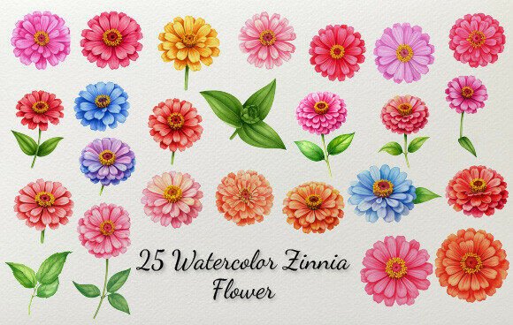 Download 25 Watercolor Zinnia Flower - Flower Collection
