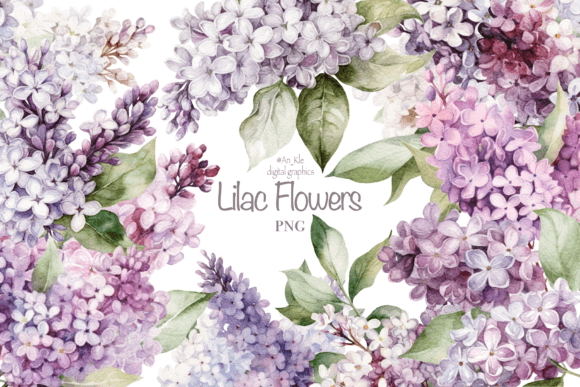 Download Gorgeous Lilac Flowers - Flower Collection