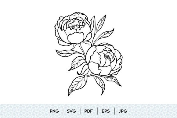 Download Peony Flower Line Art SVG - Flower Collection