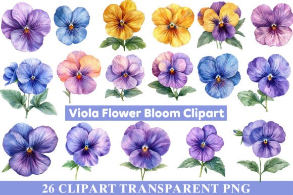 Download Viola Flower Bloom Clipart - Flower Collection