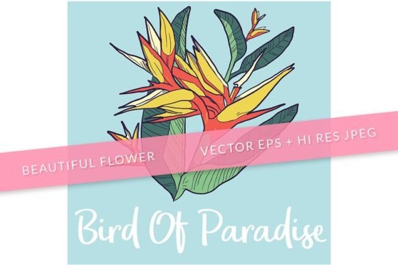 Download Bird of Paradise Flower Illustration 2 - Flower Collection