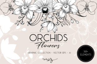 Download Orchids Flowers - Collection - Flower Collection