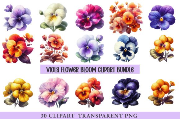 Download Viola Flower Bloom - Flower Collection