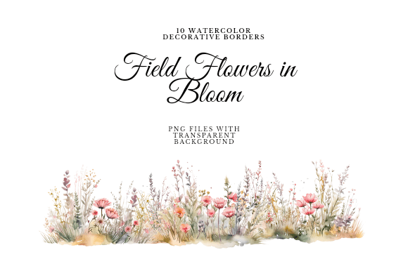 Download Watercolor Field Flowers Border - Flower Collection